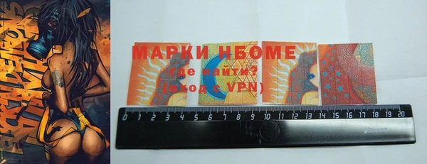 индика Арсеньев