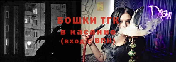 шишки Аркадак
