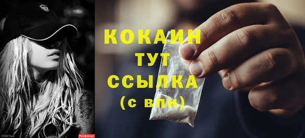 индика Арсеньев