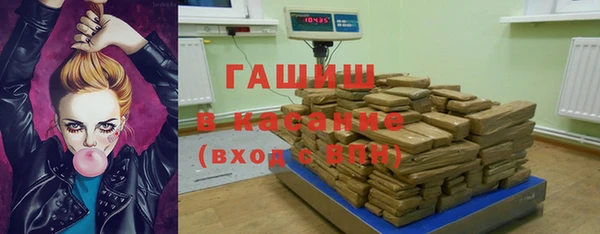 индика Арсеньев