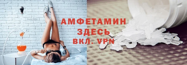 шишки Аркадак
