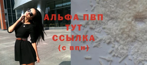 индика Арсеньев