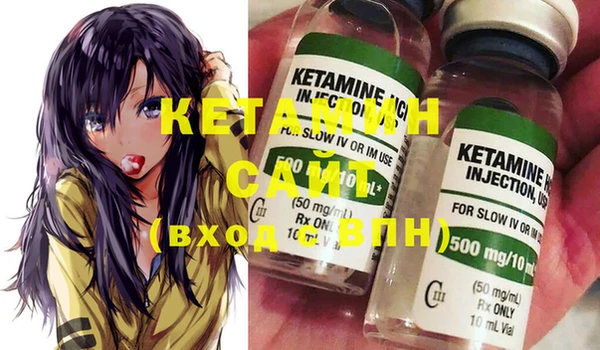шишки Аркадак