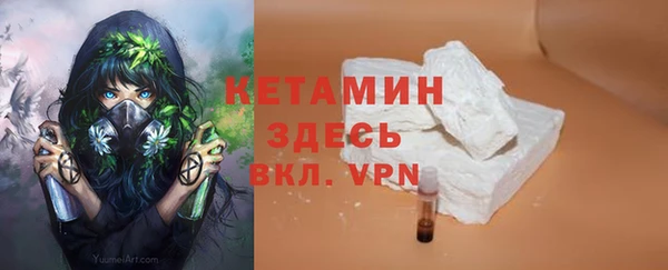 шишки Аркадак