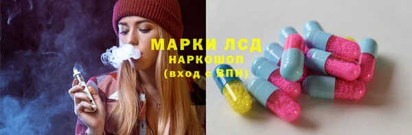 шишки Аркадак