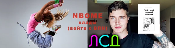индика Арсеньев