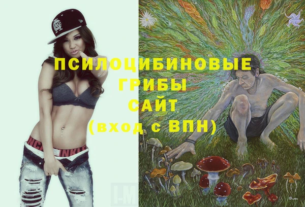индика Арсеньев