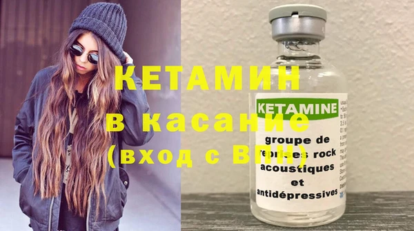 шишки Аркадак