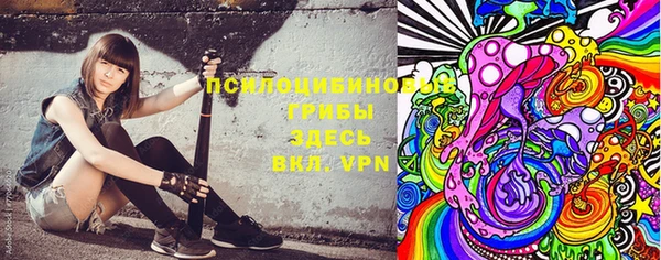 индика Арсеньев