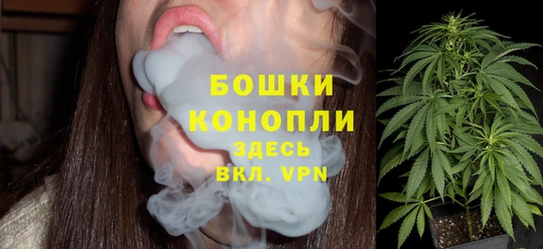 индика Арсеньев