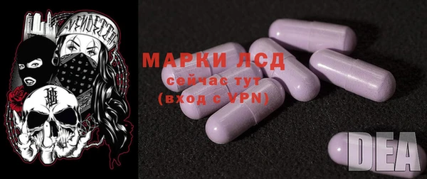 индика Арсеньев