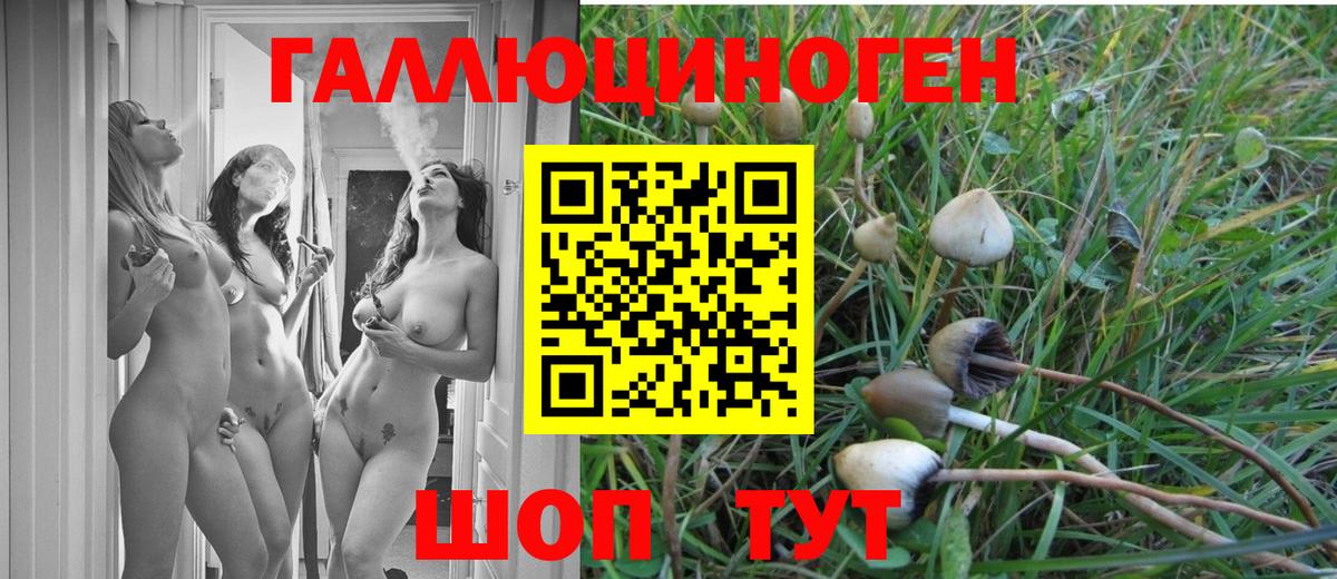 Псилоцибиновые грибы Psilocybe  Галлюциногенные грибы мухоморы  Ухта  Вход с VPN 