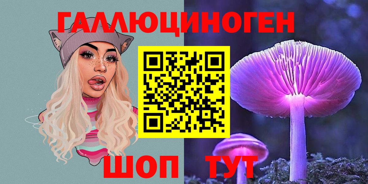 Галлюциногенные грибы Psilocybine cubensis Ухта
